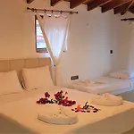 Santo اكياكا