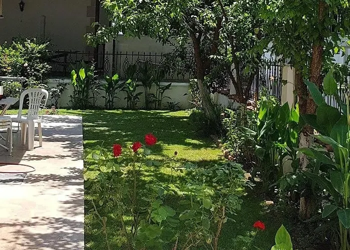 Santo * Akyaka (Mugla)