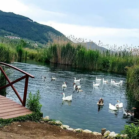 Aparthotel Santo Akyaka *